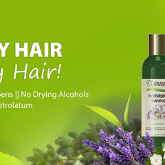 Collection image for: Hair Loss Products