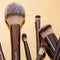 Makeup Tools & Brushes