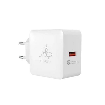 Blaze 18W (Included Cable)