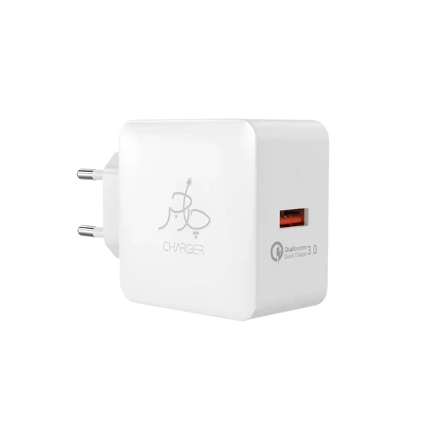 Blaze 18W (Included Cable)